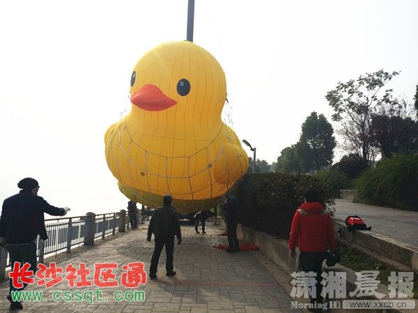 20131222_114951.jpg